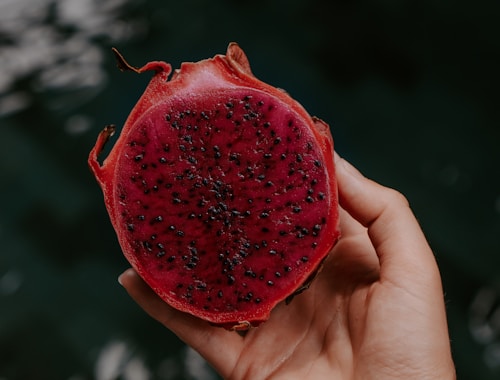 Fresh dragon fruit — vibrant and exotic